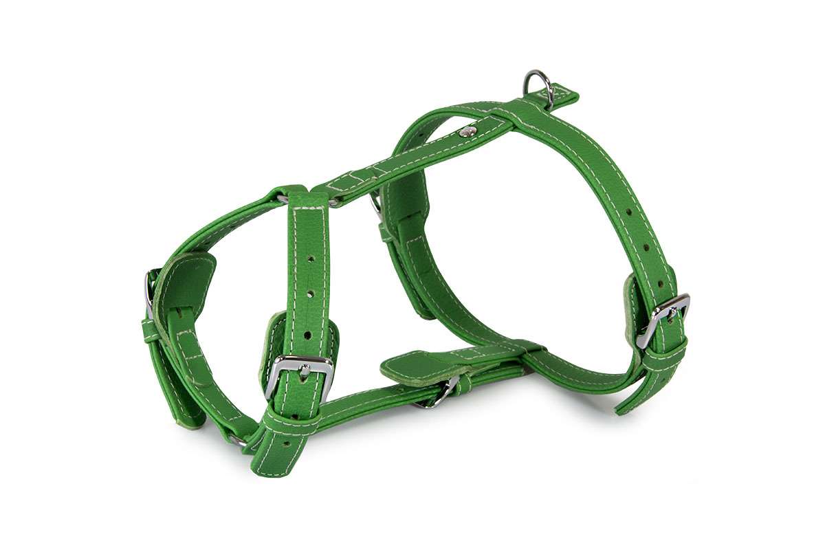 Das Lederband Tuig Barcelona Summer-Green