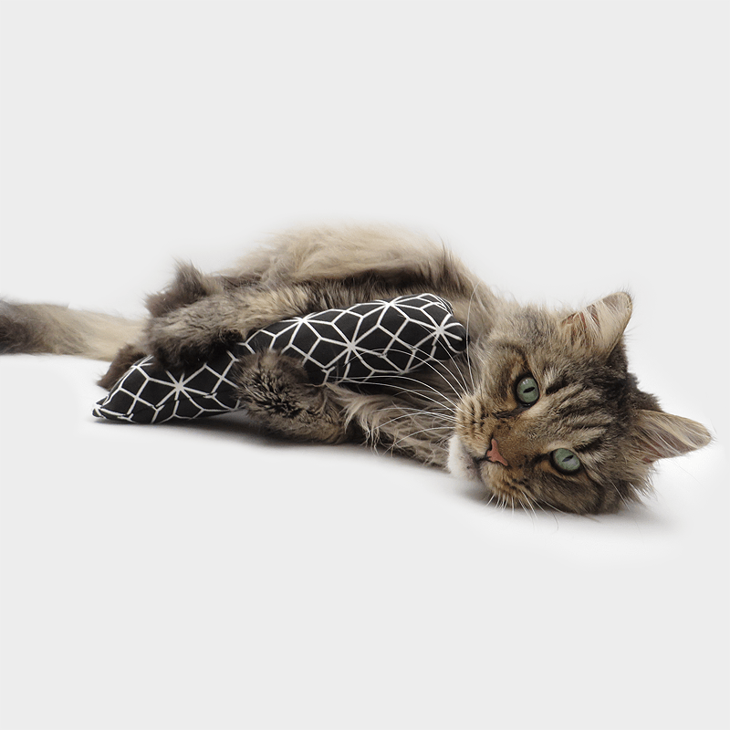 4cats klassieke knuffelrol met kat