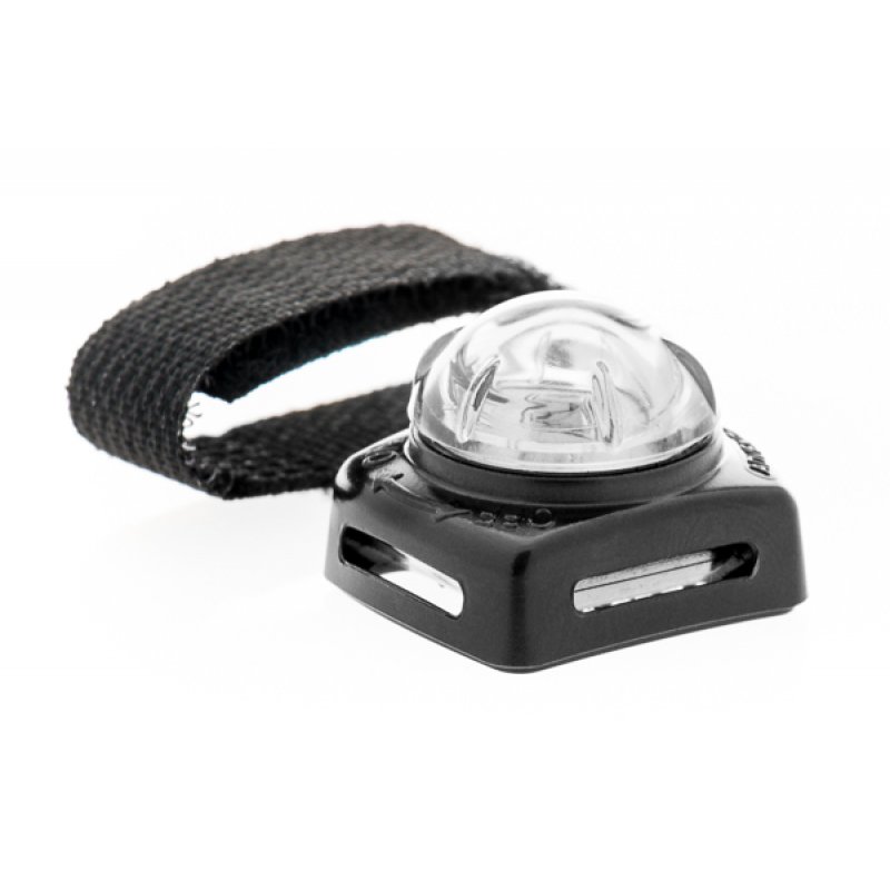 Adventure Lights Guardian Pet Beacon Wit